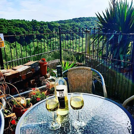 Gorgeview Cottage Айронбридж Екстериор снимка