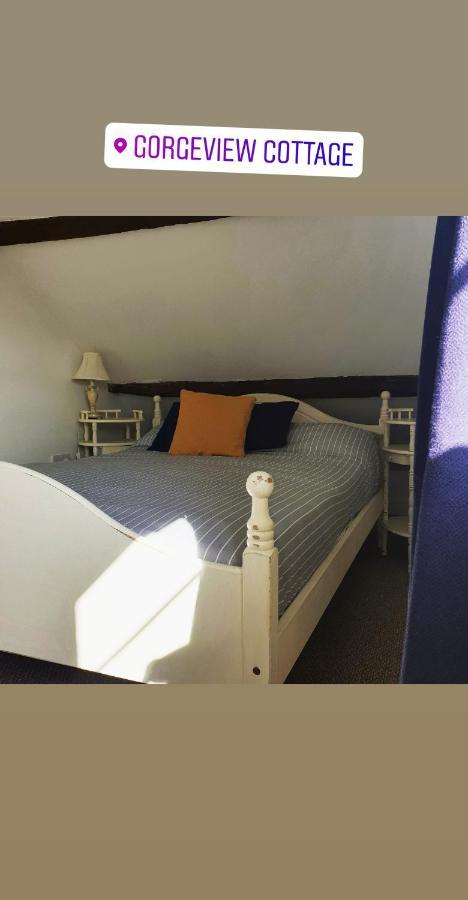 Gorgeview Cottage Айронбридж Екстериор снимка